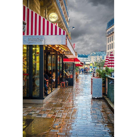 Paris CafÃ© Mimosa Black Modern Wood Framed Art Print with Double Matting by Murdock, Ramona