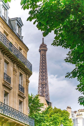 Eiffel Tower II White Modern Wood Framed Art Print with Double Matting by Murdock, Ramona
