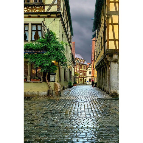 Rothenberg Rain Black Modern Wood Framed Art Print with Double Matting by Murdock, Ramona
