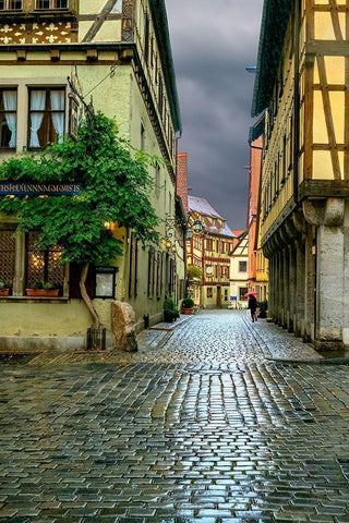 Rothenberg Rain Black Ornate Wood Framed Art Print with Double Matting by Murdock, Ramona