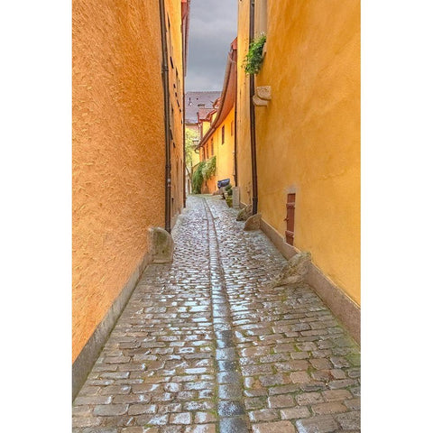 Rothenberg Alley Gold Ornate Wood Framed Art Print with Double Matting by Murdock, Ramona