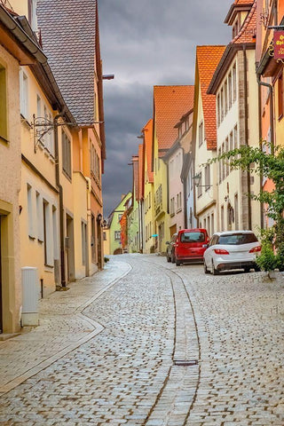Rothenberg Hill Street Black Ornate Wood Framed Art Print with Double Matting by Murdock, Ramona