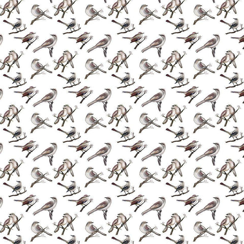 Bird Pattern 1a Black Modern Wood Framed Art Print with Double Matting by Murdock, Ramona