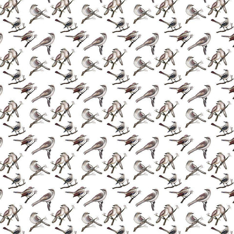 Bird Pattern 1a White Modern Wood Framed Art Print with Double Matting by Murdock, Ramona