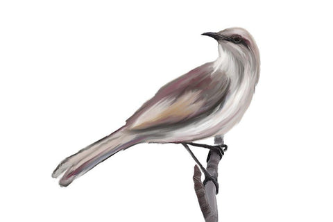 Bird V Black Ornate Wood Framed Art Print with Double Matting by Murdock, Ramona