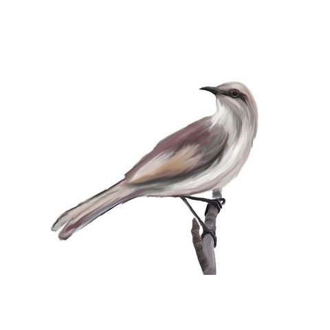 Bird V Black Modern Wood Framed Art Print by Murdock, Ramona