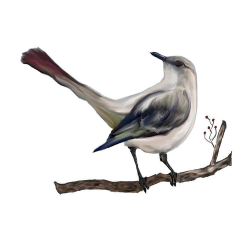 Bird VII Black Modern Wood Framed Art Print with Double Matting by Murdock, Ramona