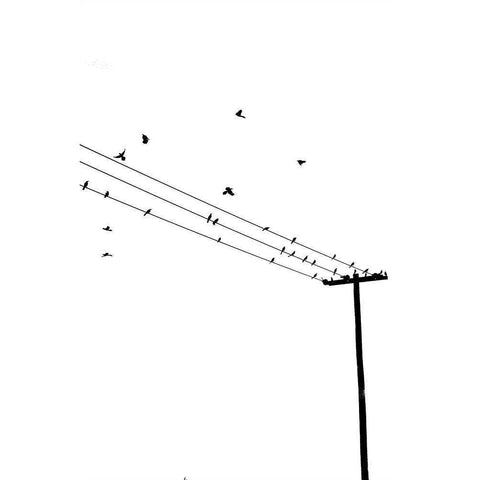 Birds on a Wire Black Modern Wood Framed Art Print by Murdock, Ramona
