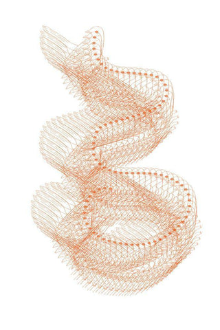 Abstract Birds I White Modern Wood Framed Art Print with Double Matting by Murdock, Ramona