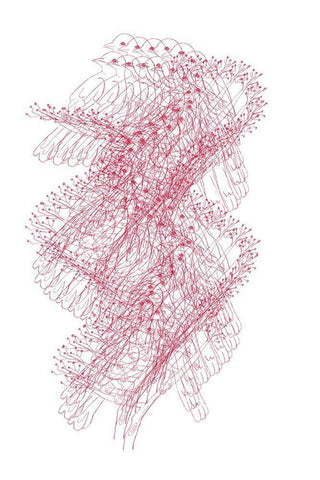 Abstract Birds III Black Ornate Wood Framed Art Print with Double Matting by Murdock, Ramona