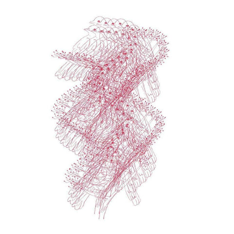 Abstract Birds III Black Modern Wood Framed Art Print by Murdock, Ramona