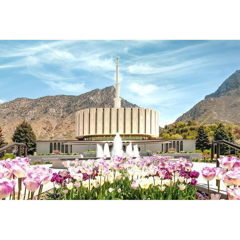 Provo Temple Black Modern Wood Framed Art Print with Double Matting by Murdock, Ramona