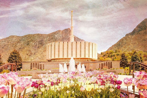 Provo Temple II White Modern Wood Framed Art Print with Double Matting by Murdock, Ramona