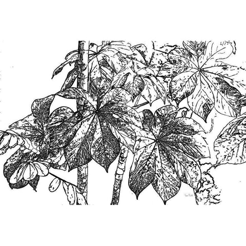 Botanical BW IV Gold Ornate Wood Framed Art Print with Double Matting by Murdock, Ramona