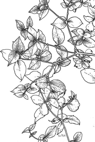 Leafy BW White Modern Wood Framed Art Print with Double Matting by Murdock, Ramona