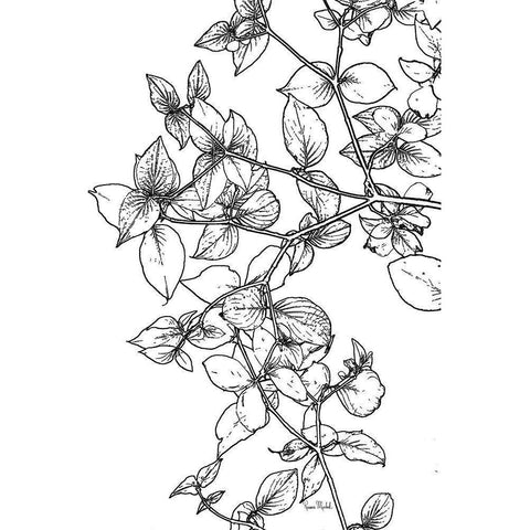 Leafy BW Black Modern Wood Framed Art Print by Murdock, Ramona