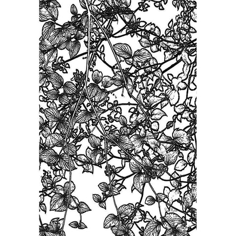 Leafy BW III White Modern Wood Framed Art Print by Murdock, Ramona