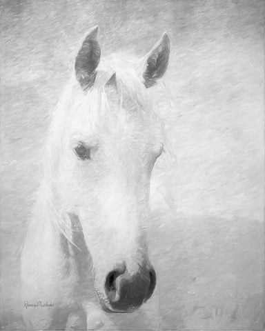 The Queen White Modern Wood Framed Art Print with Double Matting by Murdock, Ramona