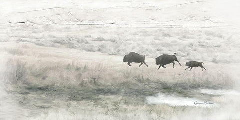 Buffalo Stampede White Modern Wood Framed Art Print with Double Matting by Murdock, Ramona