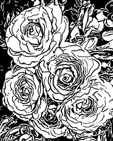 Roses No. 2 White Modern Wood Framed Art Print with Double Matting by Murdock, Ramona
