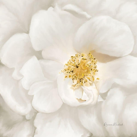 Neutral Rose No. 4 White Modern Wood Framed Art Print with Double Matting by Murdock, Ramona