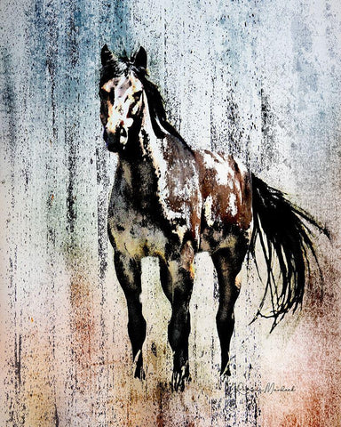 The Mustang King White Modern Wood Framed Art Print with Double Matting by Murdock, Ramona