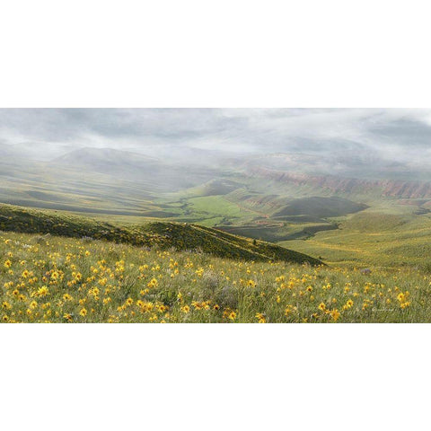 Sunflower Overlook Gold Ornate Wood Framed Art Print with Double Matting by Murdock, Ramona