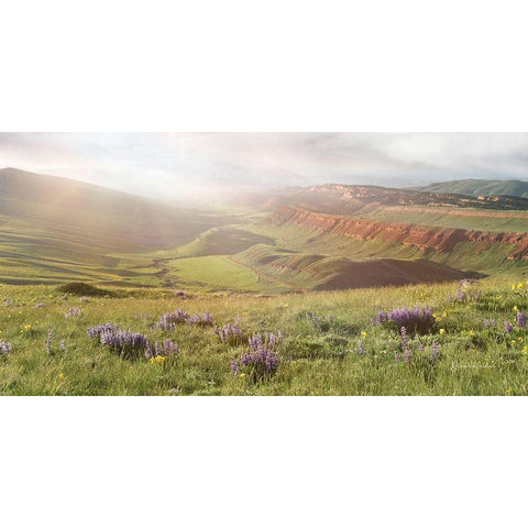 Evening Glow II Gold Ornate Wood Framed Art Print with Double Matting by Murdock, Ramona