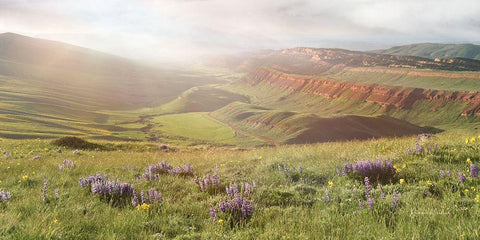 Evening Glow II White Modern Wood Framed Art Print with Double Matting by Murdock, Ramona