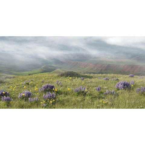 Misty Valley I Gold Ornate Wood Framed Art Print with Double Matting by Murdock, Ramona