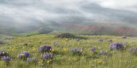 Misty Valley I Black Ornate Wood Framed Art Print with Double Matting by Murdock, Ramona