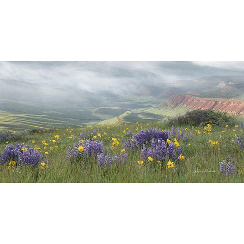 Misty Valley II Gold Ornate Wood Framed Art Print with Double Matting by Murdock, Ramona