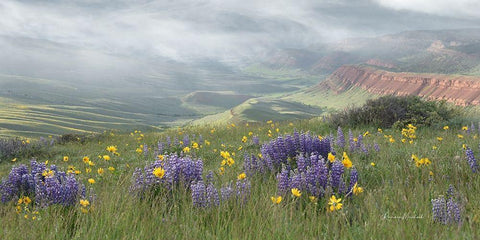 Misty Valley II Black Ornate Wood Framed Art Print with Double Matting by Murdock, Ramona