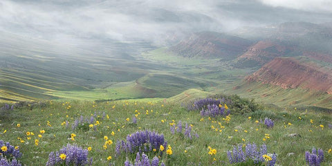 Misty Valley III White Modern Wood Framed Art Print with Double Matting by Murdock, Ramona