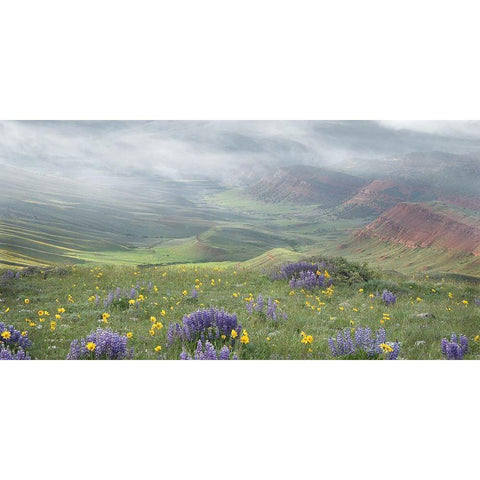 Misty Valley III Black Modern Wood Framed Art Print by Murdock, Ramona