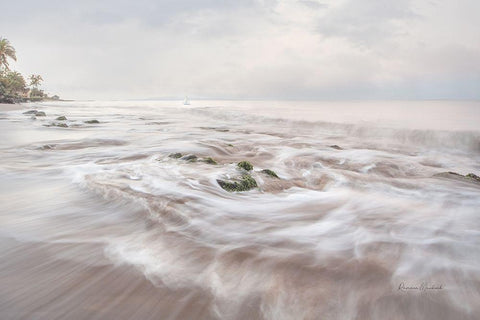 Morning Waves Black Ornate Wood Framed Art Print with Double Matting by Murdock, Ramona