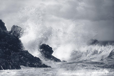 Indigo Crashing Wave Black Ornate Wood Framed Art Print with Double Matting by Murdock, Ramona