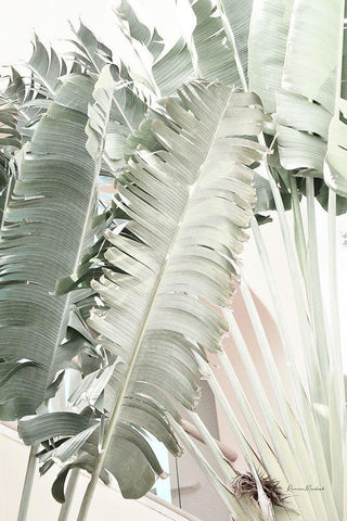 Banana Branch I White Modern Wood Framed Art Print with Double Matting by Murdock, Ramona