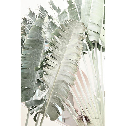 Banana Branch I Black Modern Wood Framed Art Print with Double Matting by Murdock, Ramona