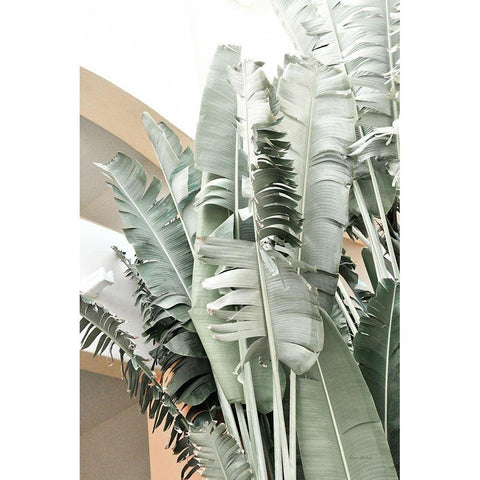 Banana Branch III White Modern Wood Framed Art Print by Murdock, Ramona