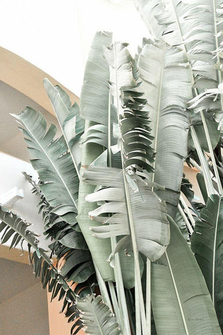 Banana Branch III White Modern Wood Framed Art Print with Double Matting by Murdock, Ramona