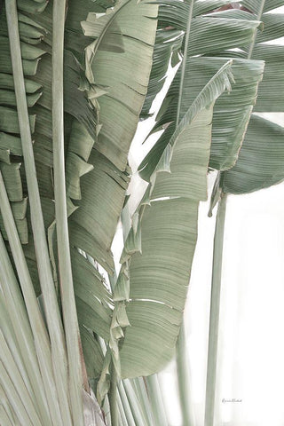 Banana Branch IV White Modern Wood Framed Art Print with Double Matting by Murdock, Ramona