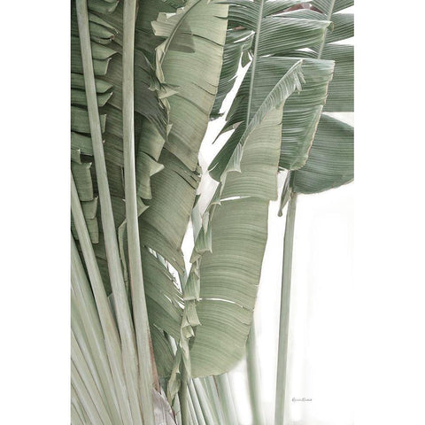 Banana Branch IV Black Modern Wood Framed Art Print with Double Matting by Murdock, Ramona