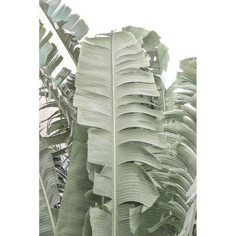 Banana Branch V Black Modern Wood Framed Art Print by Murdock, Ramona