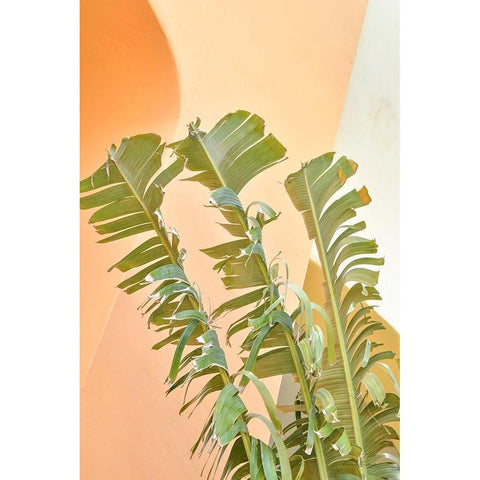 Tropical Dream II Gold Ornate Wood Framed Art Print with Double Matting by Murdock, Ramona