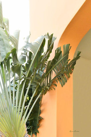 Tropical Dream V Black Ornate Wood Framed Art Print with Double Matting by Murdock, Ramona