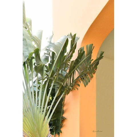 Tropical Dream V Black Modern Wood Framed Art Print by Murdock, Ramona