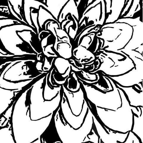 BW Floral No. 5 White Modern Wood Framed Art Print with Double Matting by Murdock, Ramona