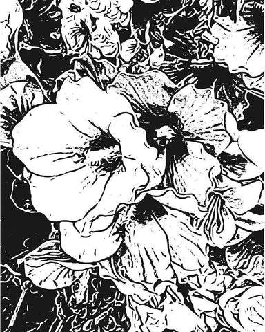 BW Floral No. 6 Black Ornate Wood Framed Art Print with Double Matting by Murdock, Ramona