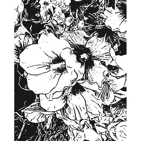 BW Floral No. 6 Black Modern Wood Framed Art Print with Double Matting by Murdock, Ramona